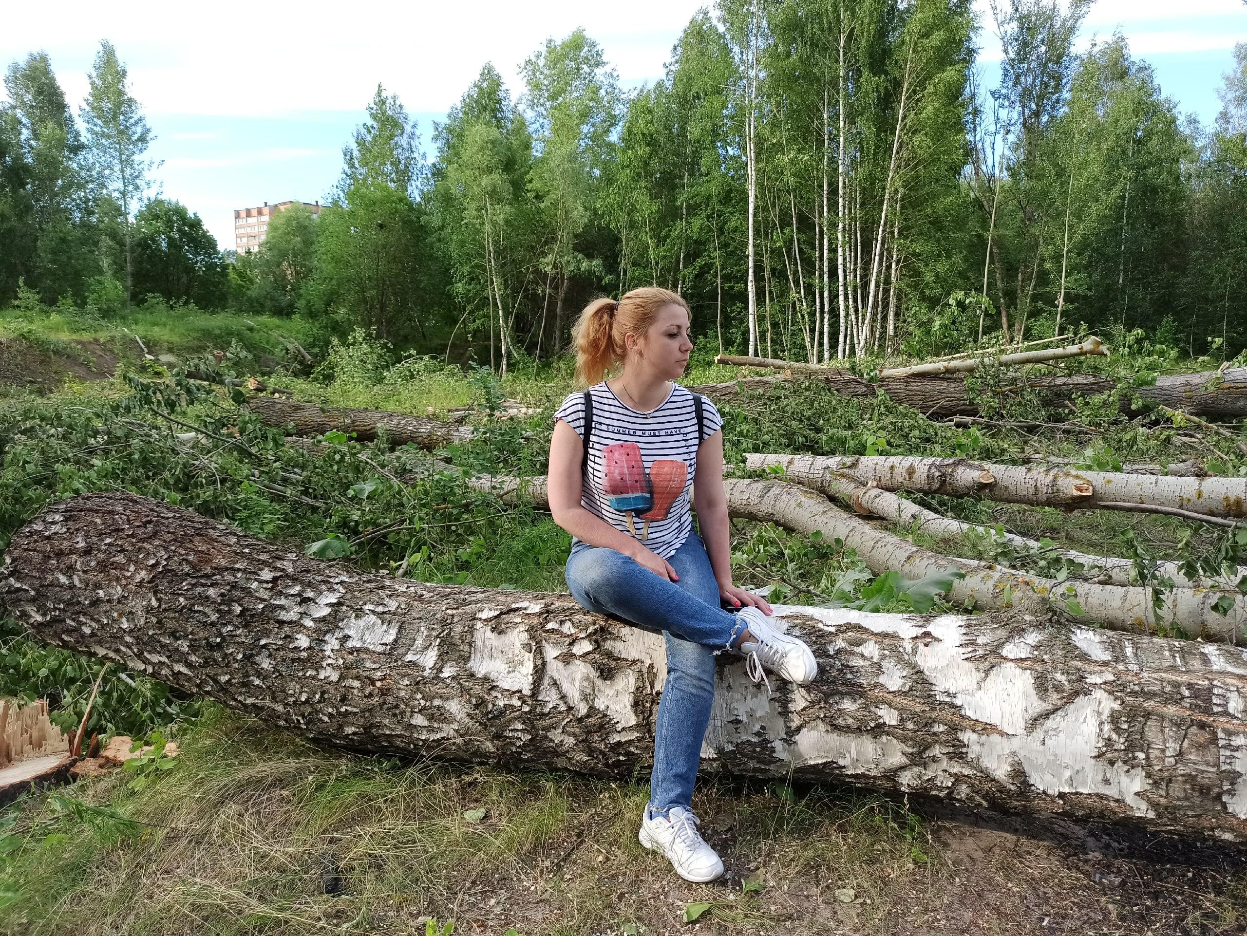 Лес или школа? Жители микрорайона отвоевывают «зеленый островок»