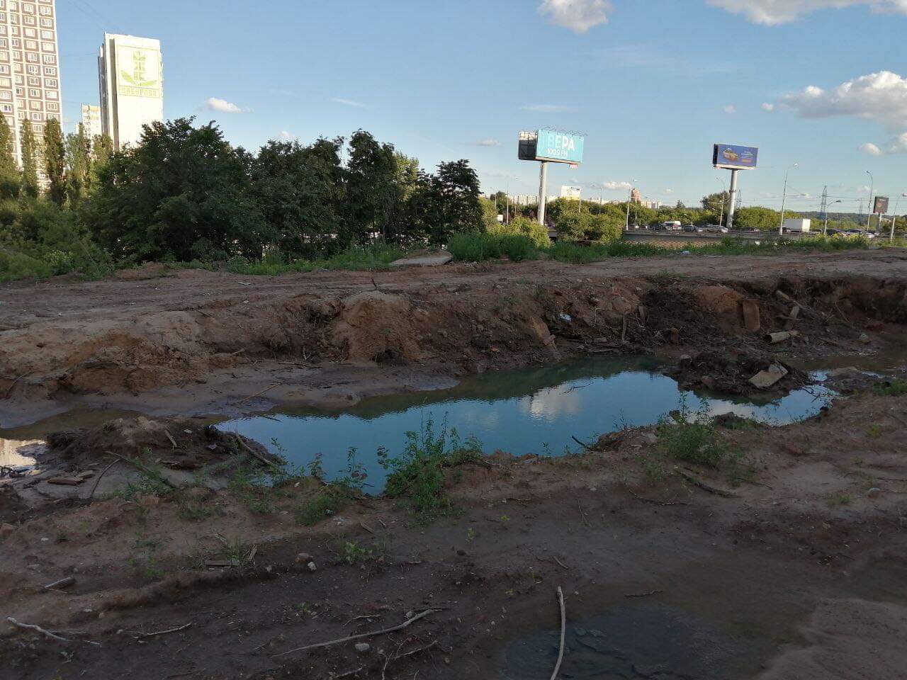 Активисты раскрыли состав бирюзовой лужи, на месте которой построят Юго-Восточную хорду