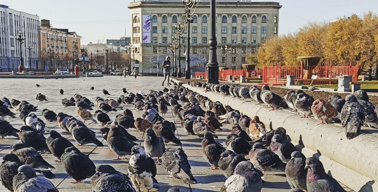 В Хабаровске задержали блогера "Нетипичного Хабаровчанина"