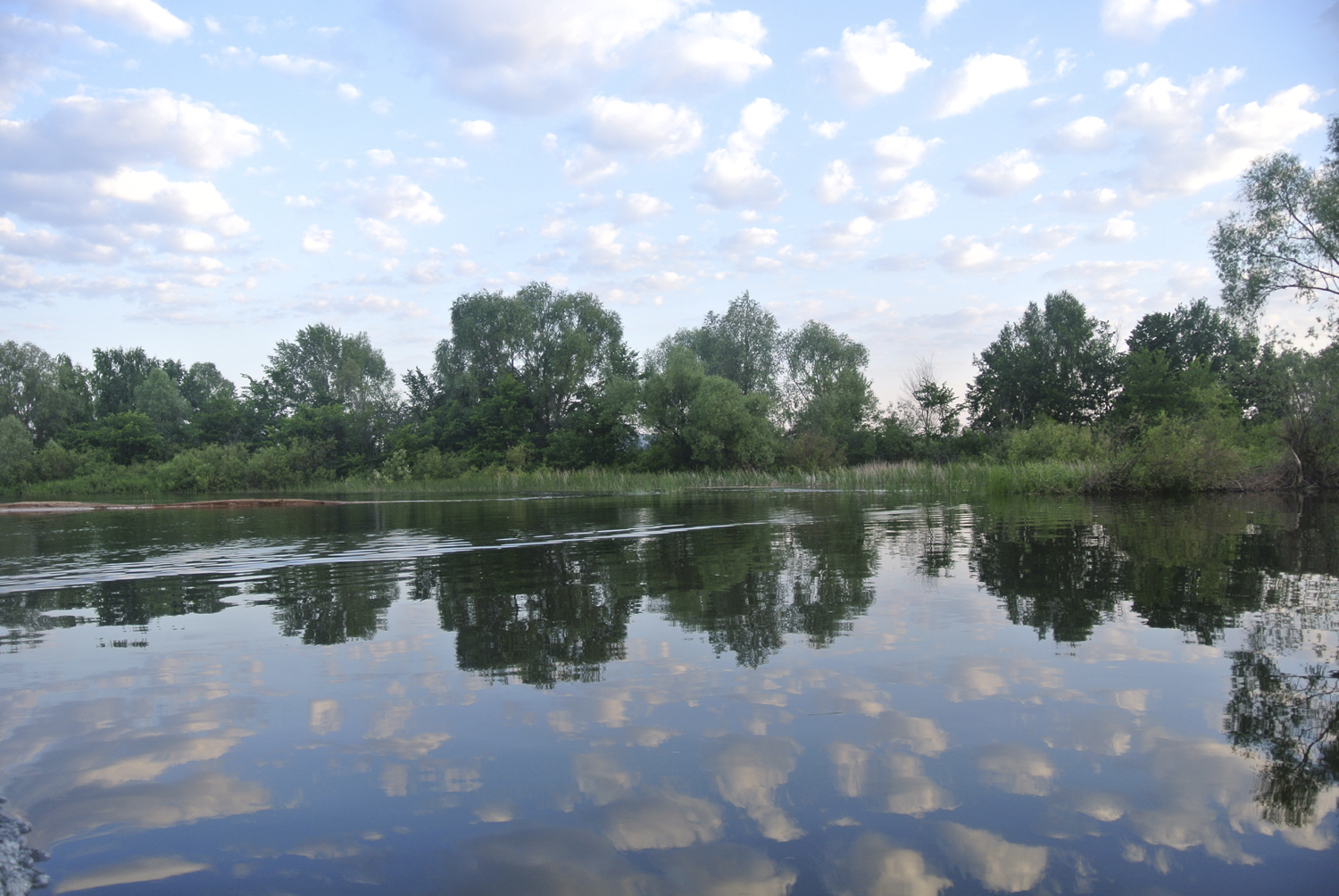 WWF и Гринпис поддержали проект создания особо охраняемой природной территории «Водно-болотные угодья «Займище» под Казанью