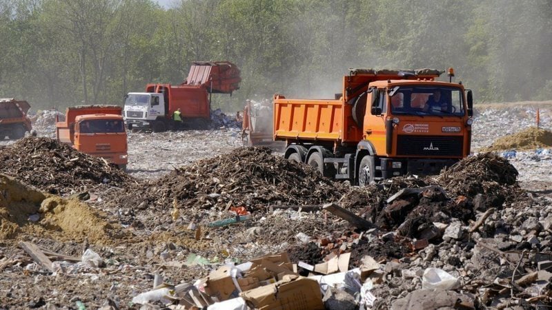 Свалка от Деда Мороза: жители Вологодчины объединяются против мусорного беспредела