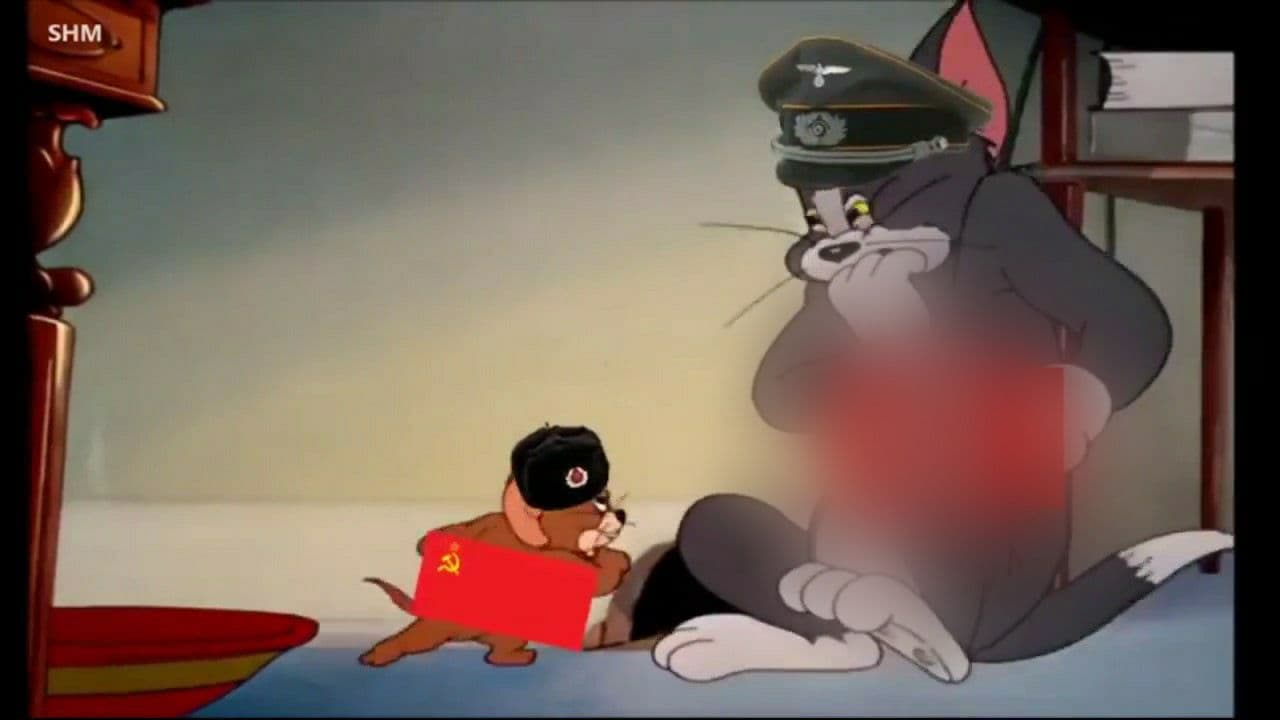 Пять суток ареста за мультфильм про Тома и Джерри получил житель Курска