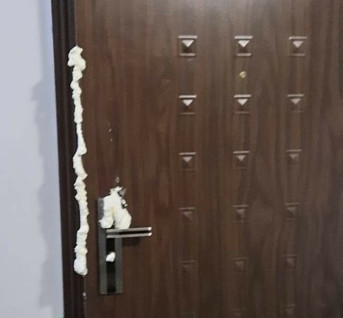 В Челябинске активистке "СтопГОК" залили дверь монтажной пеной