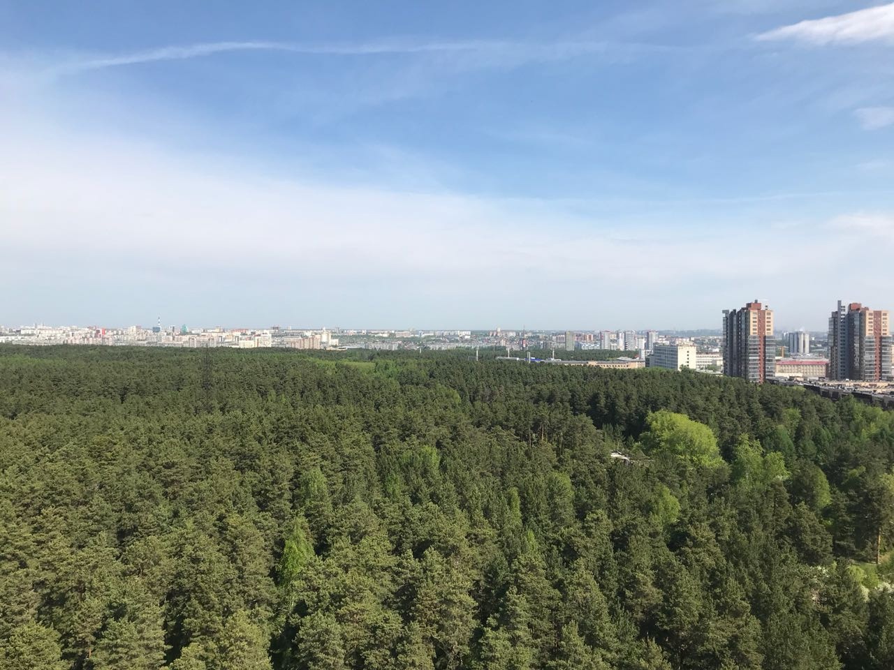 Городские леса. Сосновый Бор Челябинск. Городской Бор Челябинск. Реликтовый лес Челябинск. Городской Сосновый Бор Челябинск.