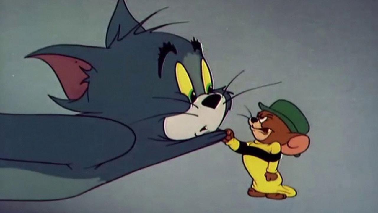 Жителя Ростовской области оштрафовали за свастику в мультфильме «Том и Джерри»