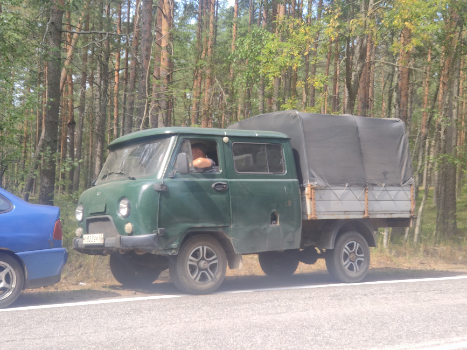 В Ленобласти незаконные рубщики взяли в заложники активистов