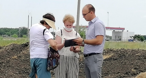 Под Волгоградом активисты опасаются вырубки дубов из-за строительства дороги