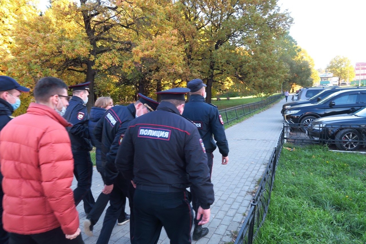В подмосковном Селятино снова рубят лес