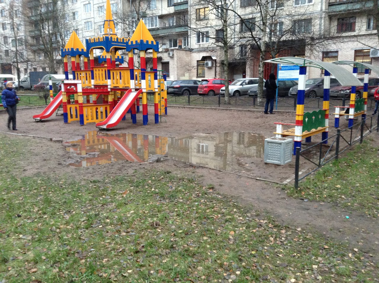 Чтобы защитить девушку от нападок чиновников, петербуржцы провели гражданскую инспекцию
