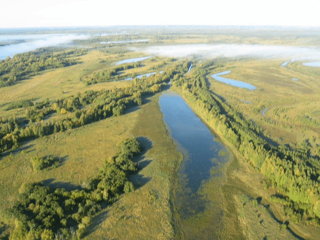 Относительно реки. Заповедник Юганский в ХМАО-Югре. Заповедник Юганский Сургутский район. Земная поверхность ХМАО-Югры. Природный заказник Сургутский.