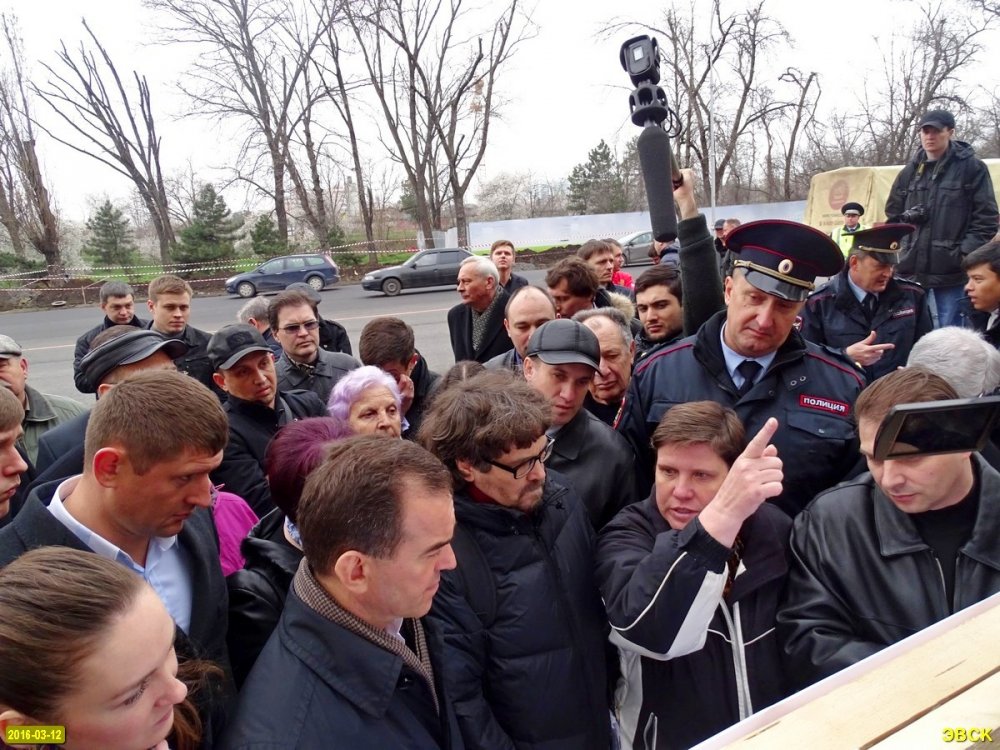 Защитники деревьев в Краснодаре победили!