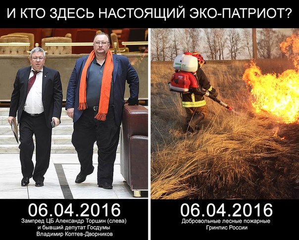 Бывшие депутаты Госдумы попросили «импортозаместить» Гринпис и WWF