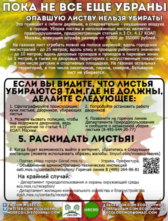 Сезон любви к городской природе. Да не будет эта любовь извращенной!