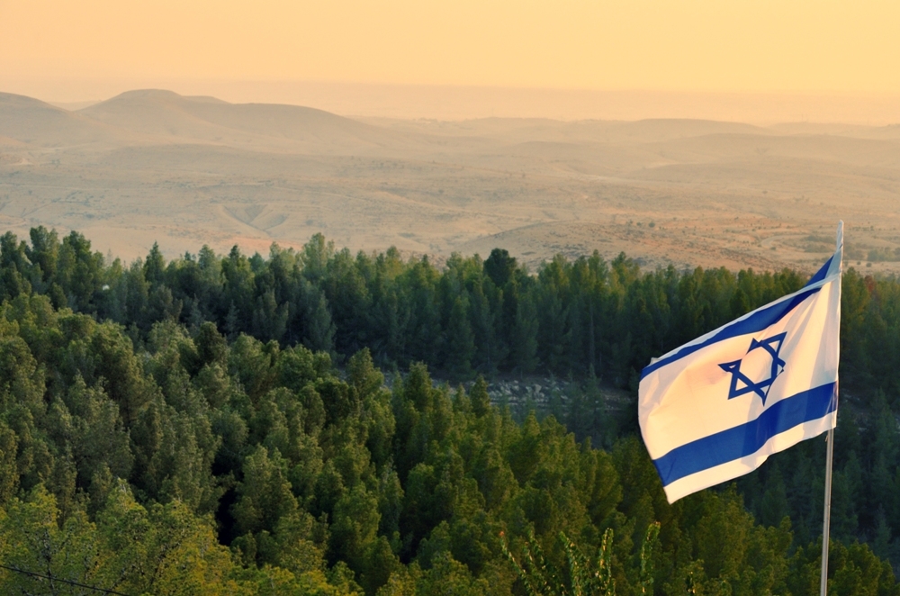 Израильские леса: от полной гибели к возрождению