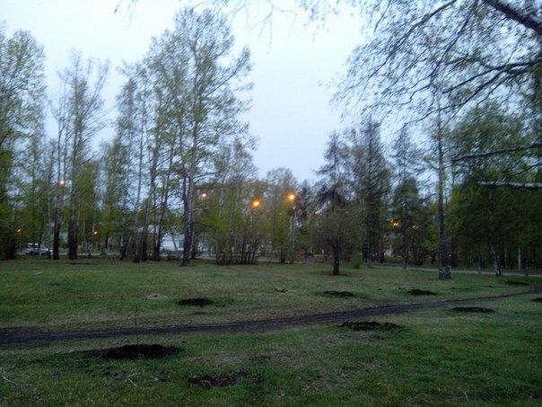 Ни дня без скандала. В Иркутске вырвали молодые саженцы, чтобы построить храм