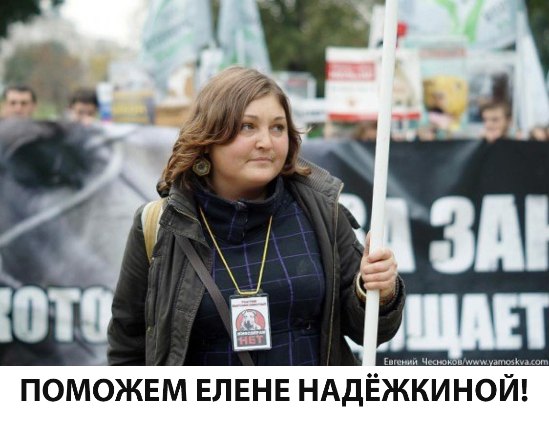 Зоозащитнице Елене Надёжкиной требуется срочная помощь!