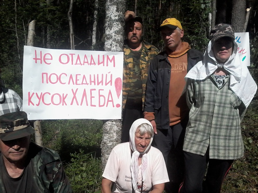 "У нас запасов до зимы хватит". Карельские пенсионеры защищают Сунский бор