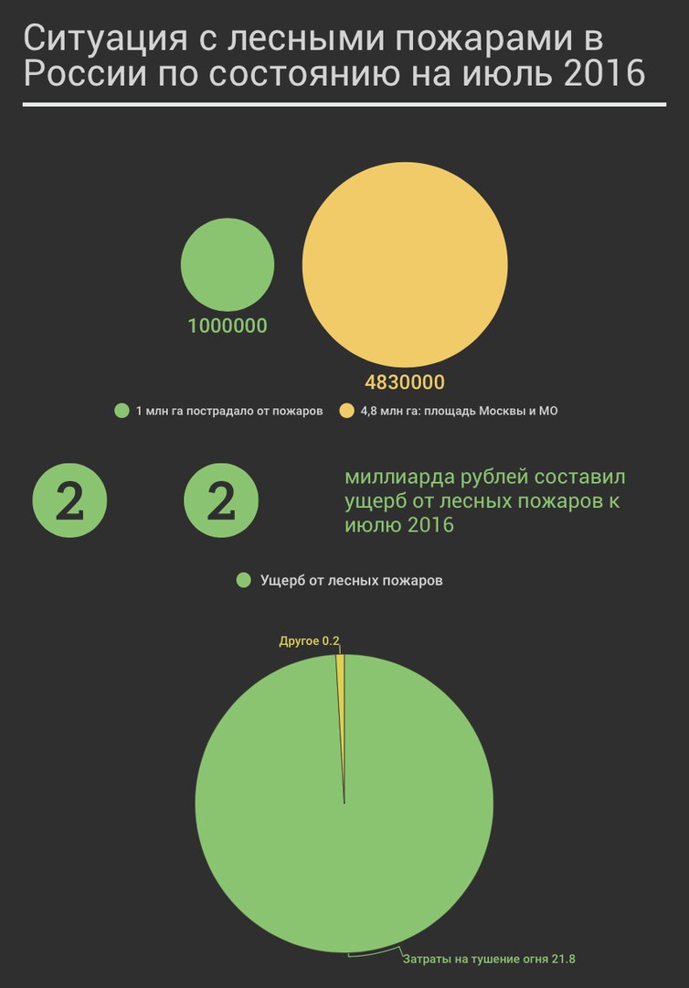 Ущерб от лесных пожаров в России за 2016 год составил почти 22 млрд рублей