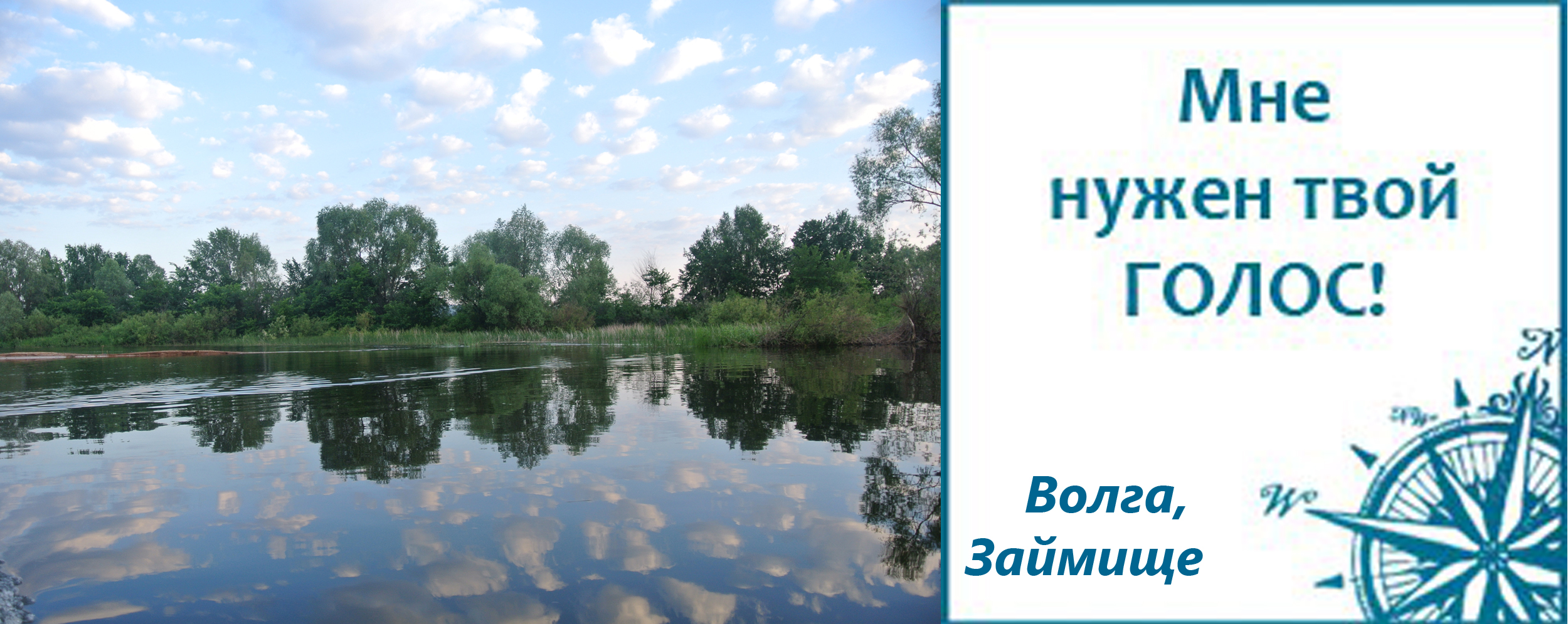 Поддержите создание природного парка «Водно-болотные угодья Займище»