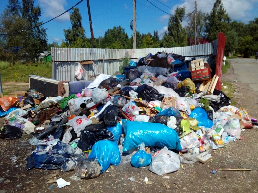 Губернатор Воробьев довел Подмосковье до экологической катастрофы