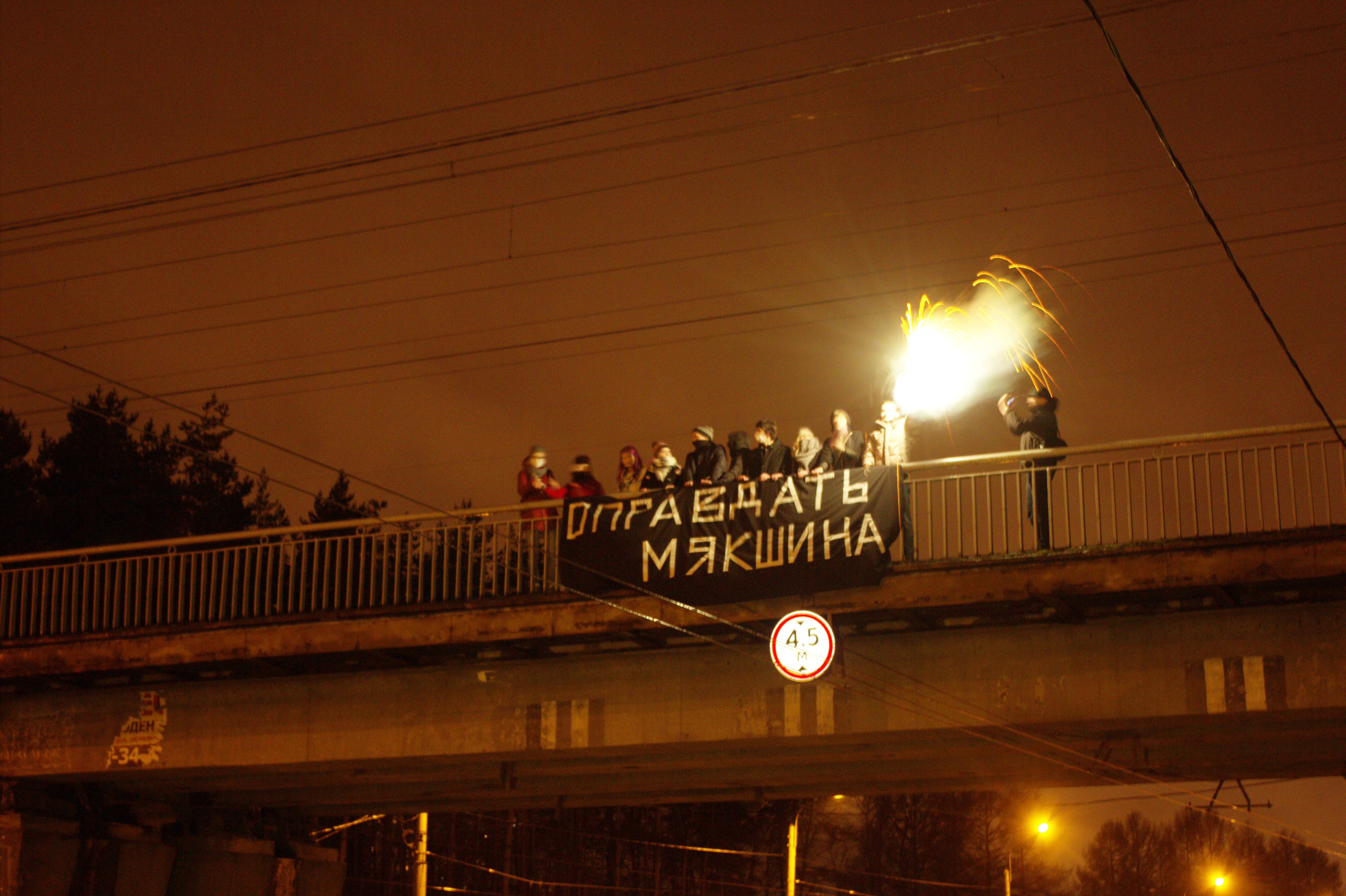 В Петербурге "Весна" поддержала "напавшего на полицейского" школьника