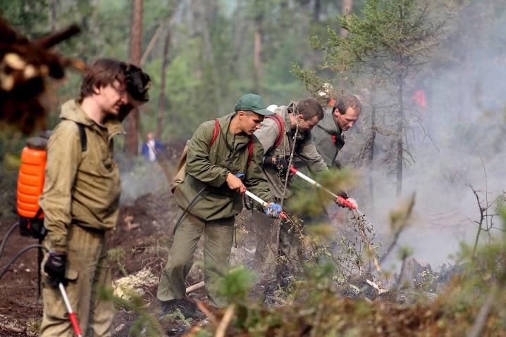 «Перекрёстный» спор о добровольных лесных пожарных