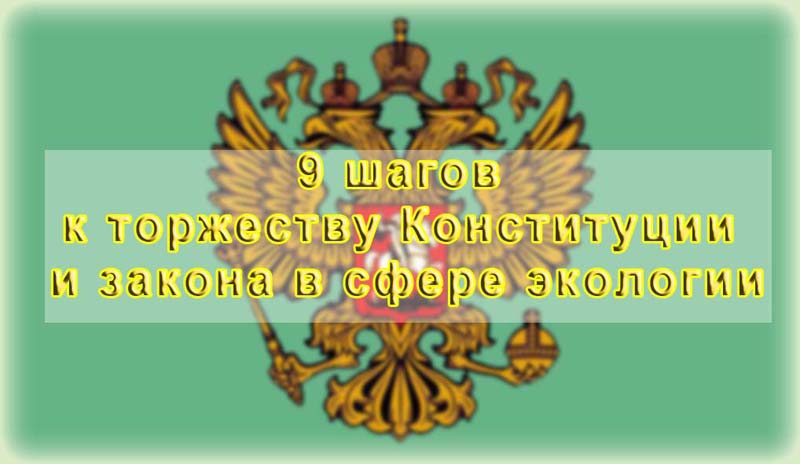 9 проблем на пути к торжеству Конституции и закона в сфере экологии