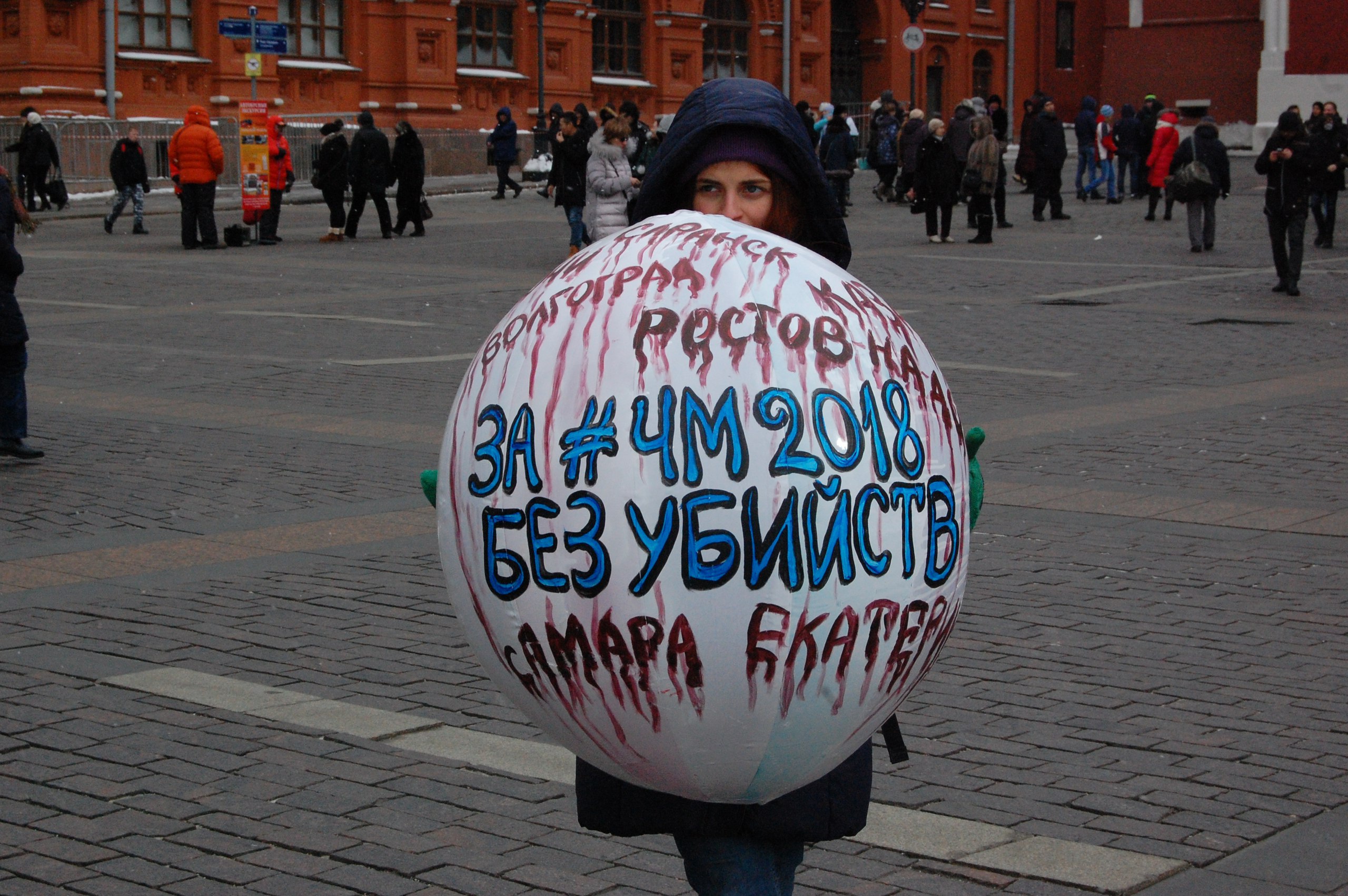 "За чемпионат мира 2018 без убийств" - зоозащитники провели пикеты против зачистки российских городов от бездомных животных