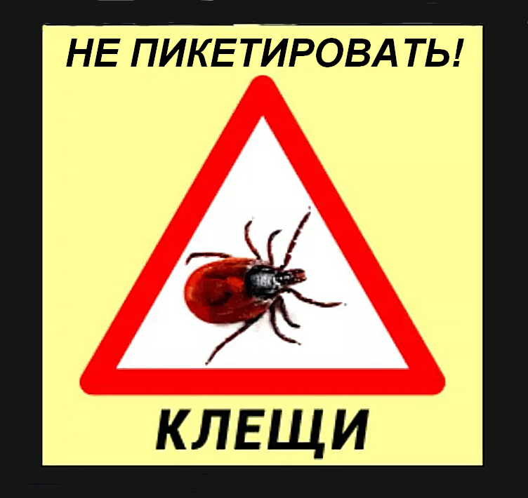 Чиновники почти сорвали пикет против Томинского ГОКа борьбой с клещами