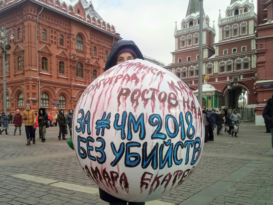 Зоозащитники устроят "поминки" по убитым бездомным животным перед Чемпионатом мира по футболу