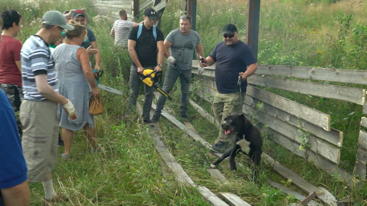 После "дмитровской резни бензопилой" суд вынес решение в пользу озера Круглого
