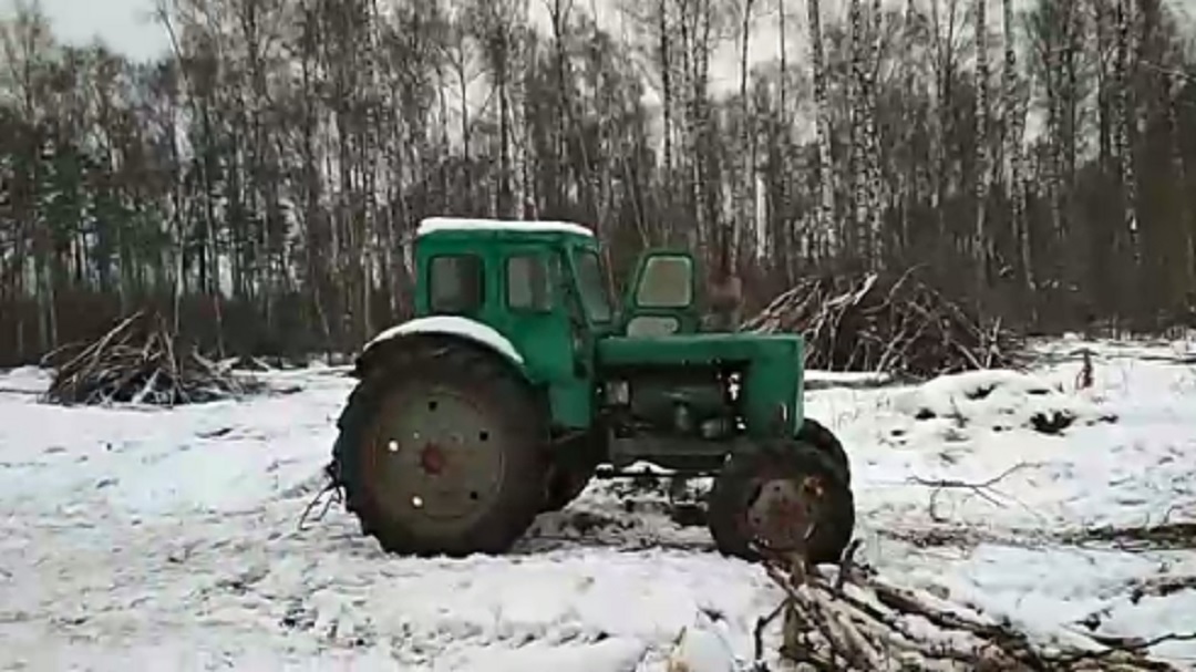 В Подмосковье активисты "накрыли" испуганных лесорубов
