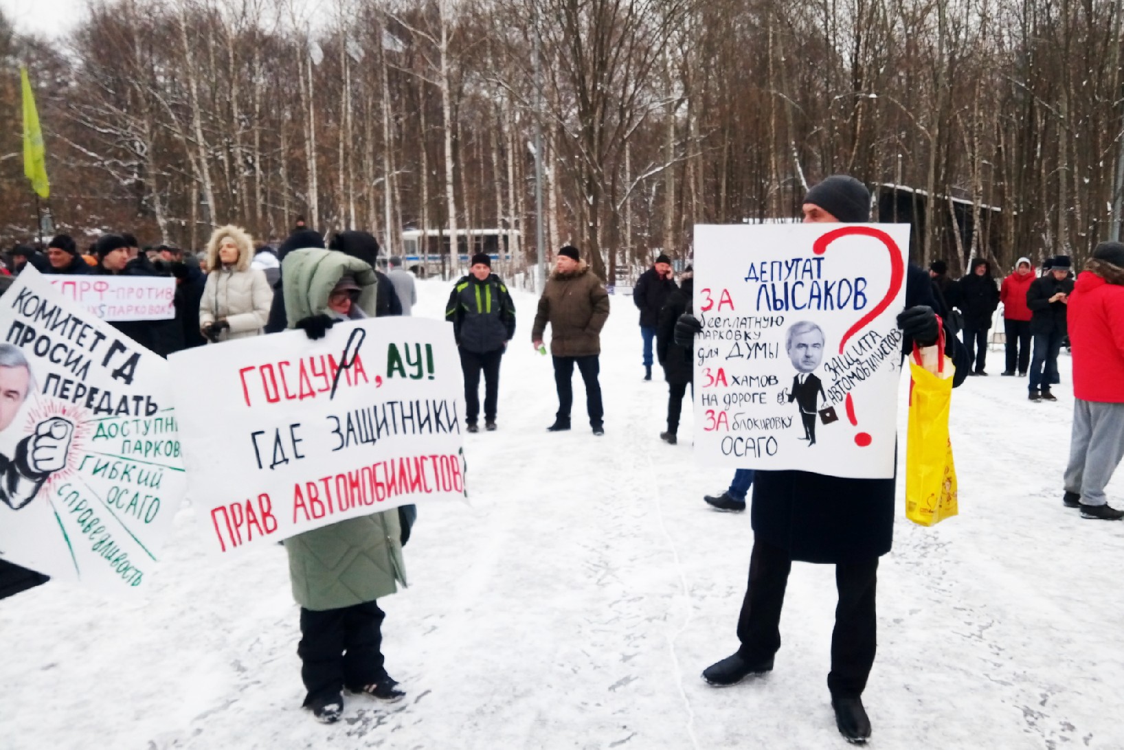 Митинг в Сокольниках: "Долой Ликсутова и карательное паркование!"