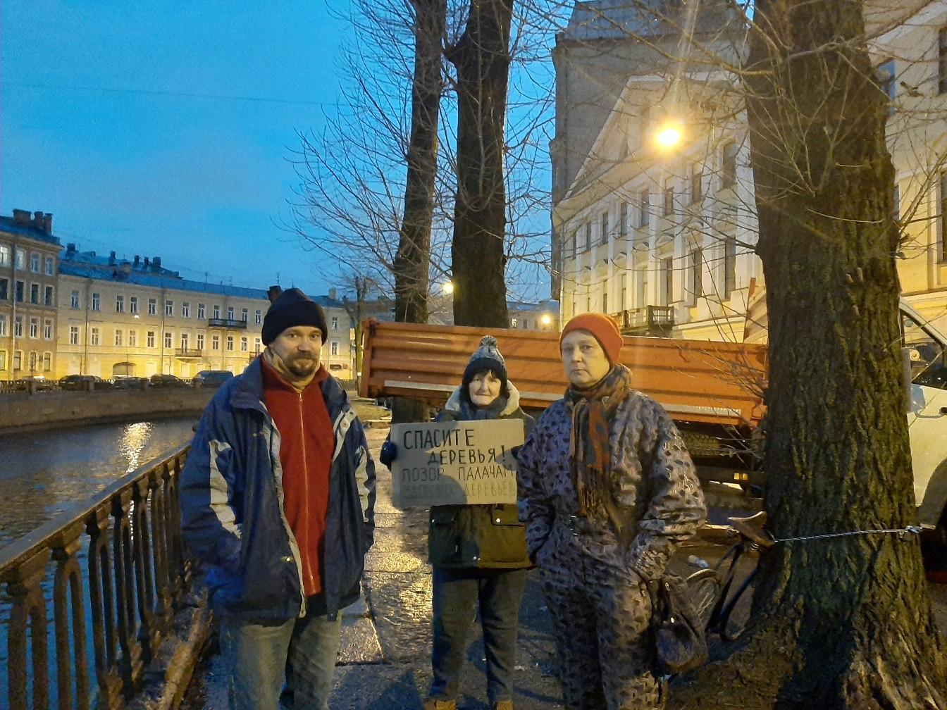 Чиновники Петербурга фальсифицируют документы для вырубки деревьев, утверждают активисты
