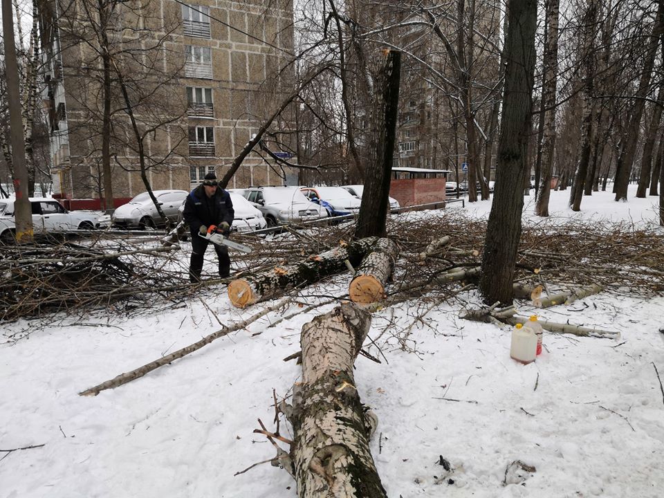 Рабочие с бензопилами напали на сквер в Хорошево-Мневниках