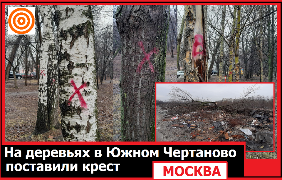 На деревьях в Южном Чертаново поставили крест