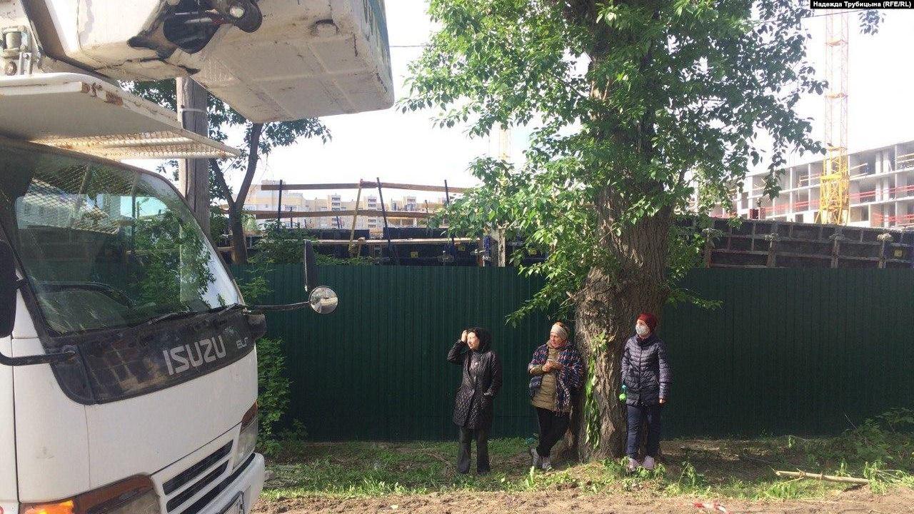 В Тюмени жители защищают деревья от вырубки
