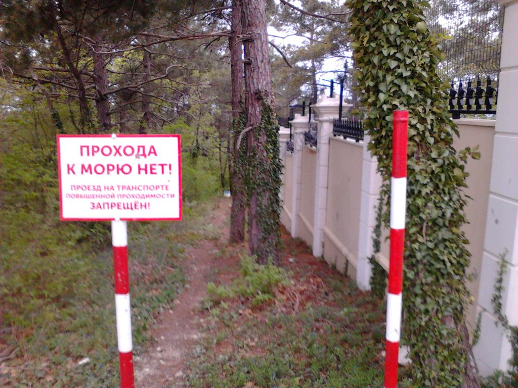 Как бороться с незаконным захватом лесов? Его надо просто узаконить, считают авторы нового законопроекта