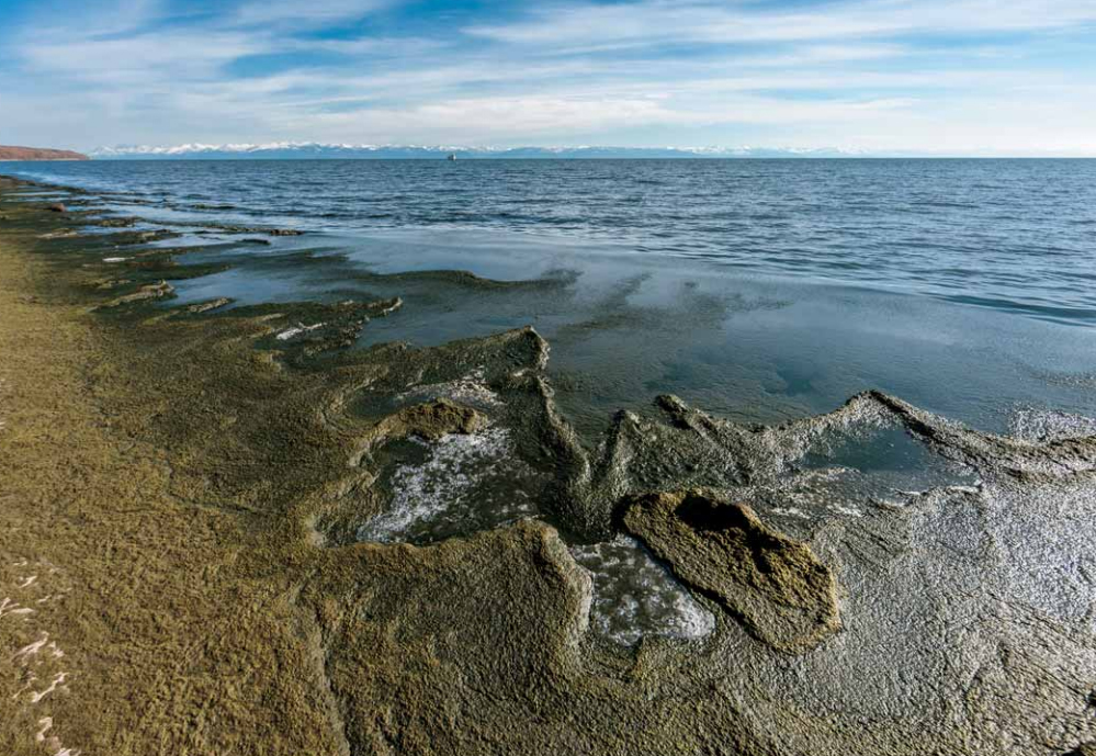 Как выглядит байкал без воды фото