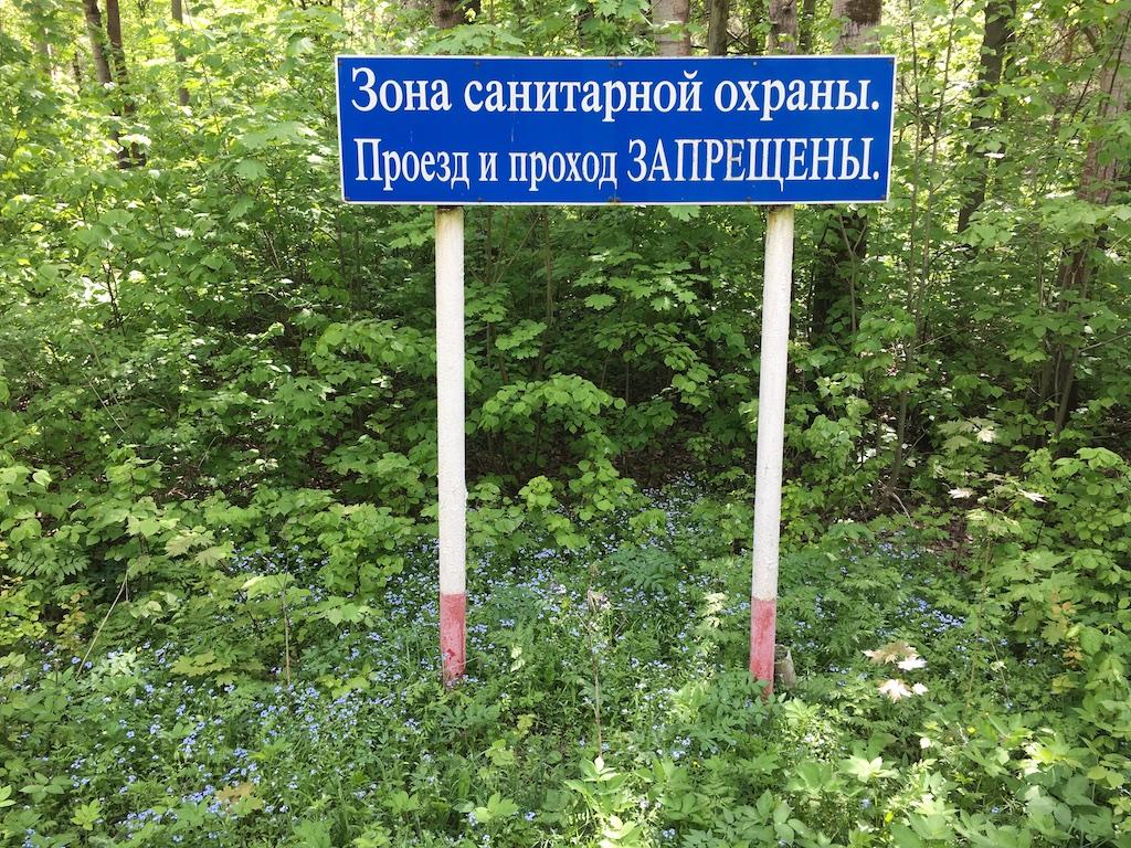 Виноградово–Болтино–Тарасовка: новая дорога вместо леса и питьевой воды
