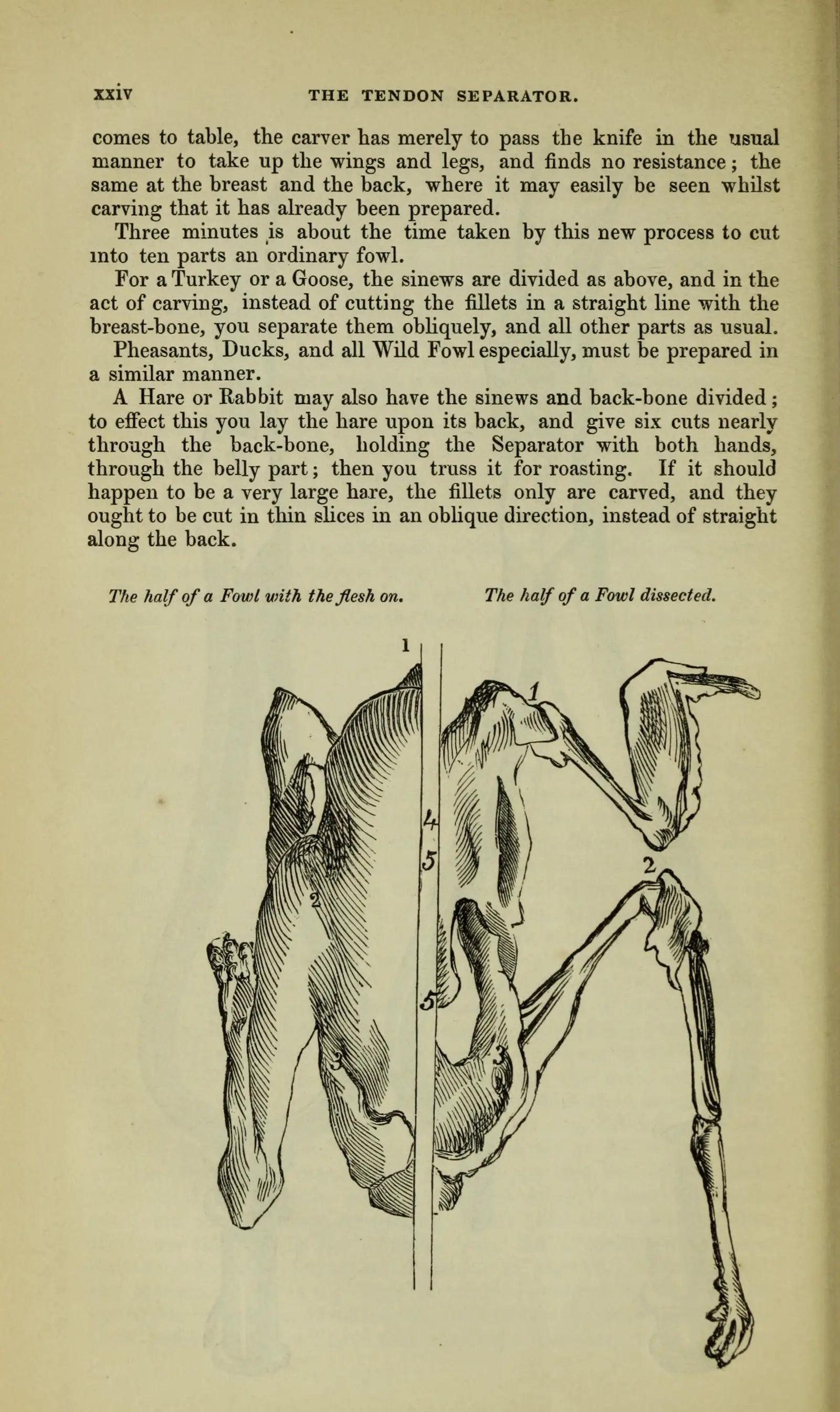 Original historical document scan