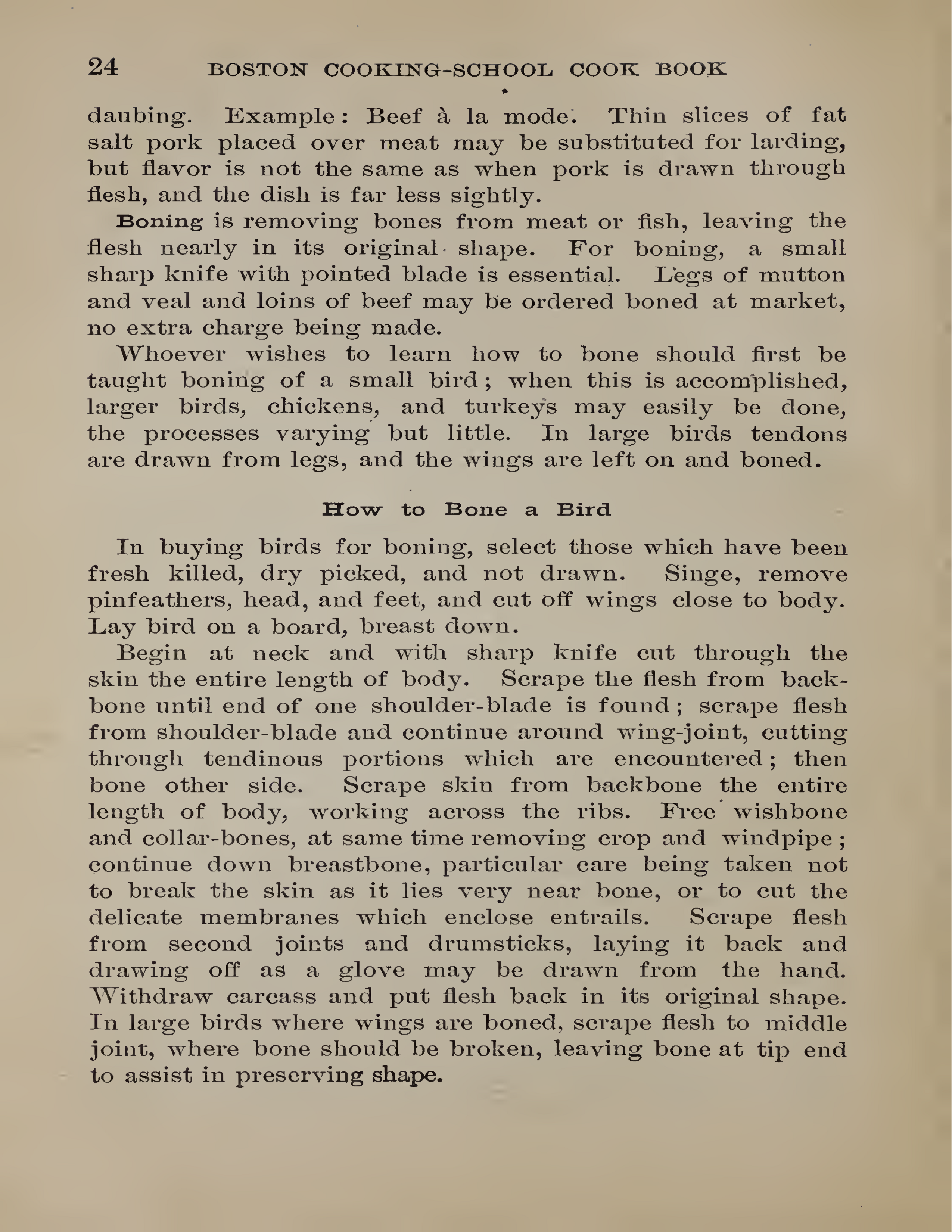 Original historical document scan