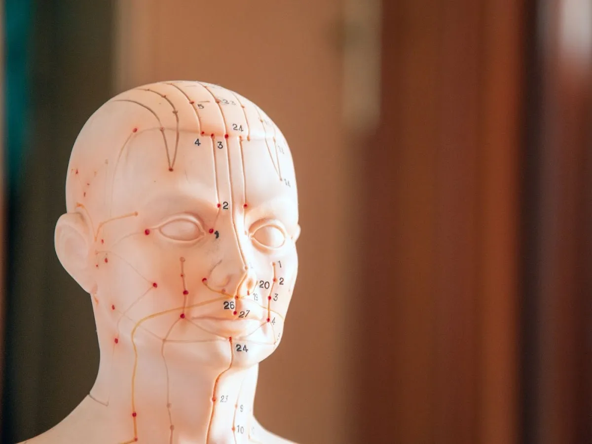 Deare Acupuncture Clinic - John Deare - Photo 3