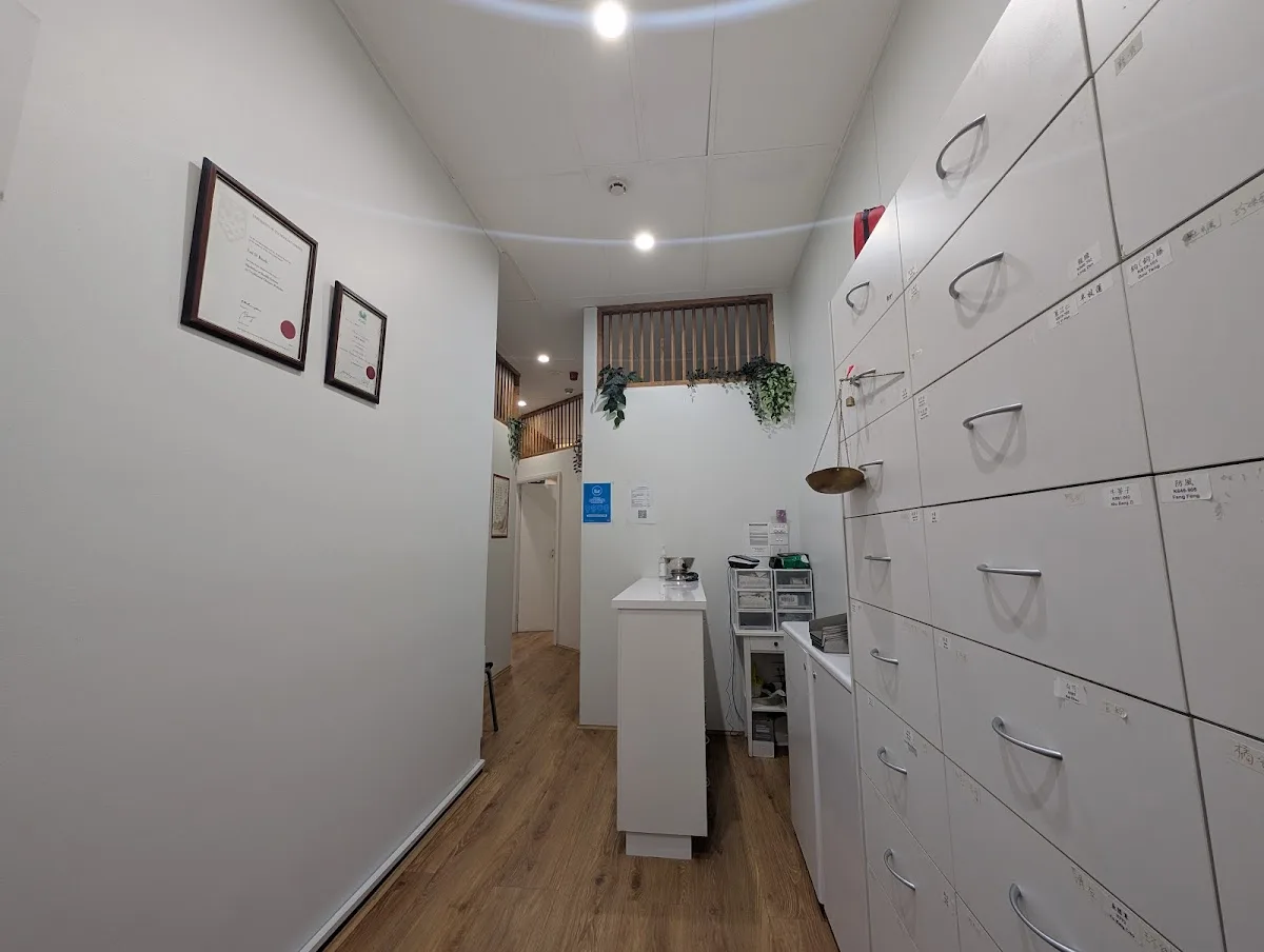 Lesley Kuok Sydney CBD Acupuncture and Chinese Medicine 郭禮思中醫師 中医诊所 - Photo 2