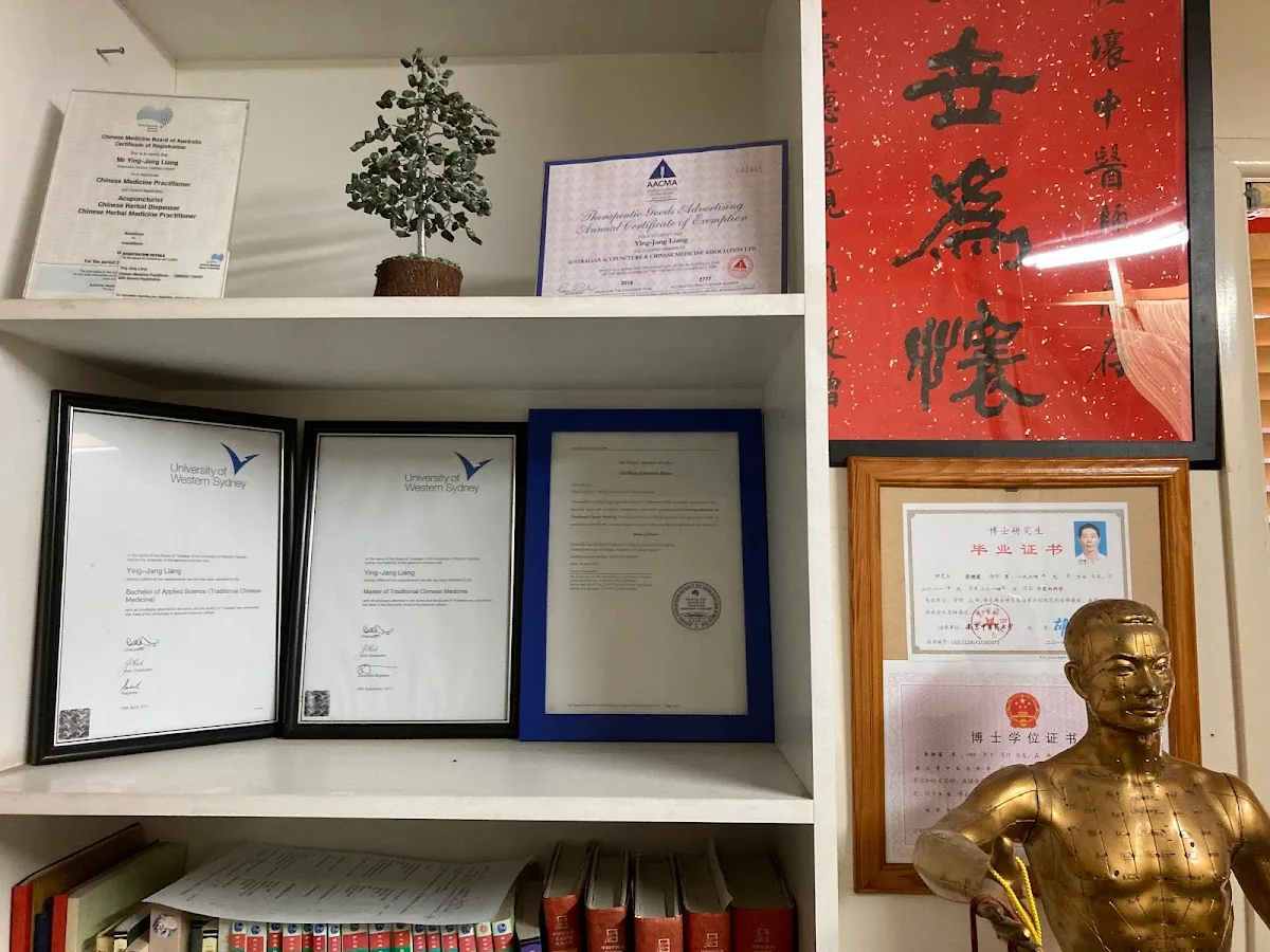 Eight Mile Plains 中醫診所 Terry's acupuncture chinese medicine - Photo 4
