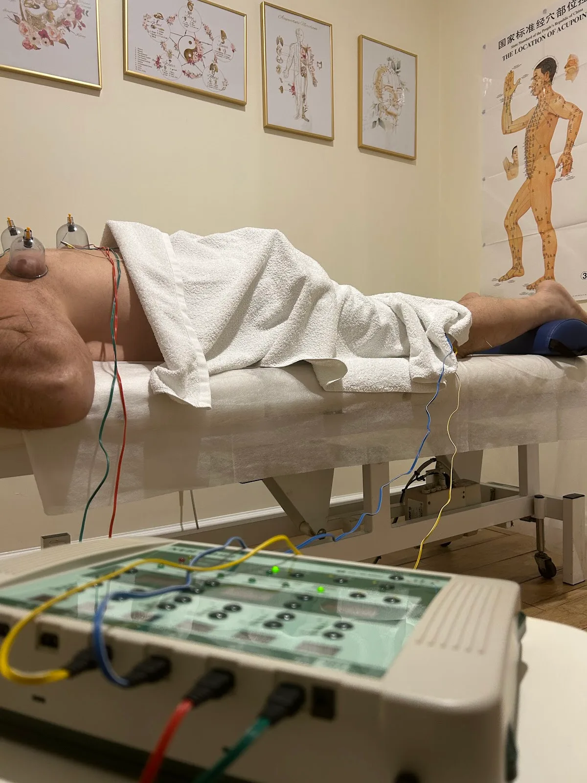 QIOLOGY-Acupuncture & Chinese Medicine - Photo 3