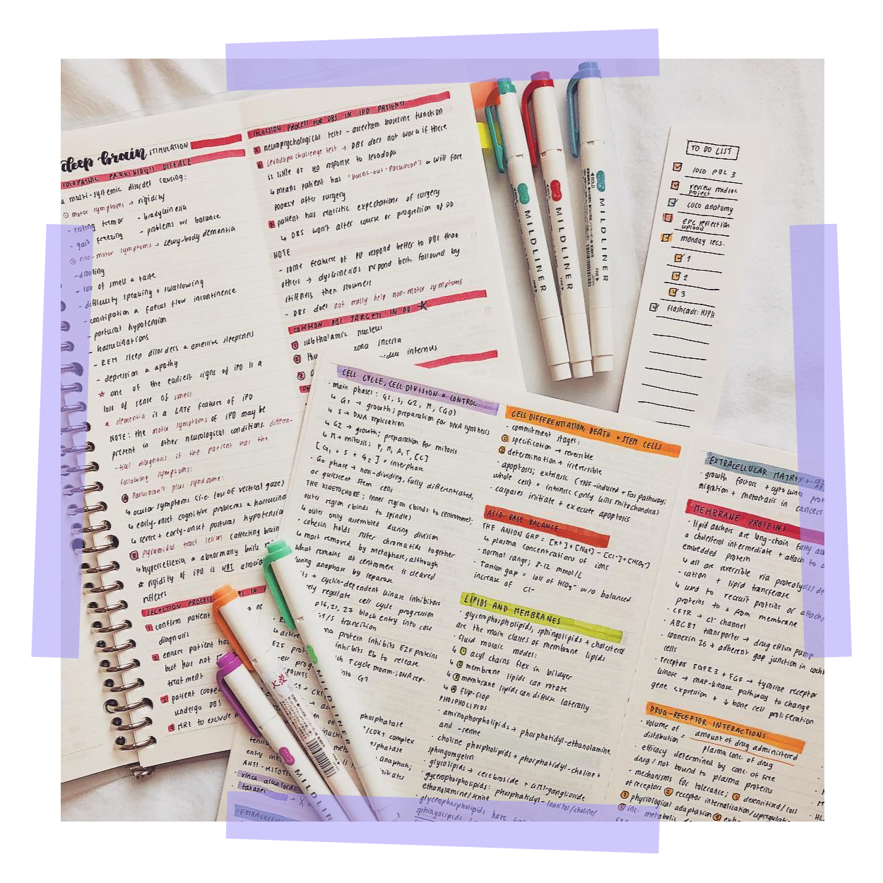 The BEST revision methods for GCSE