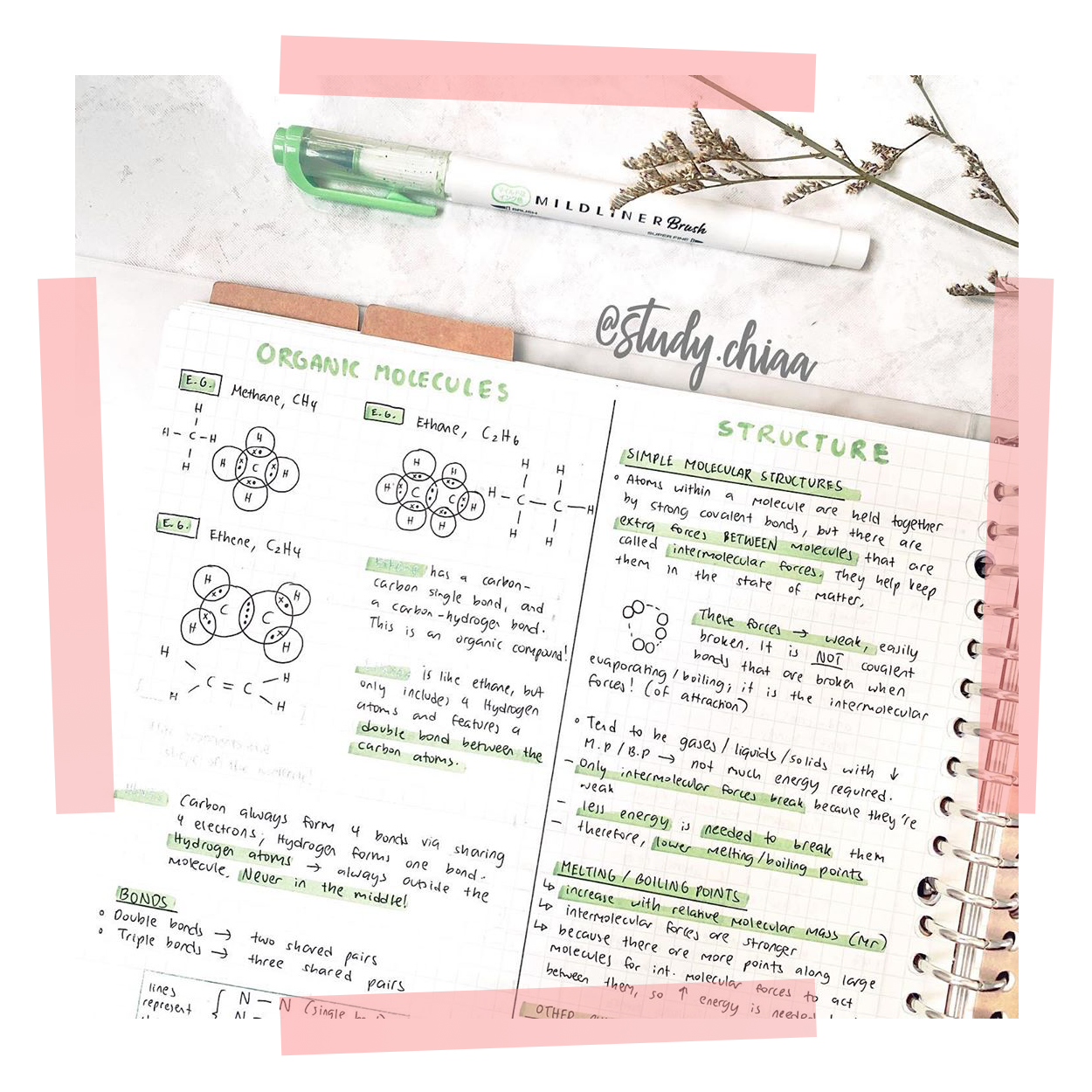 Revision techniques: The ULTIMATE revision guide