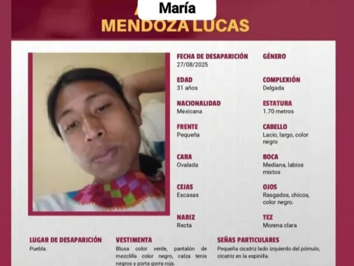 Activista María Mendoza, desaparecida en Puebla; solicitan apoyo para su localización.