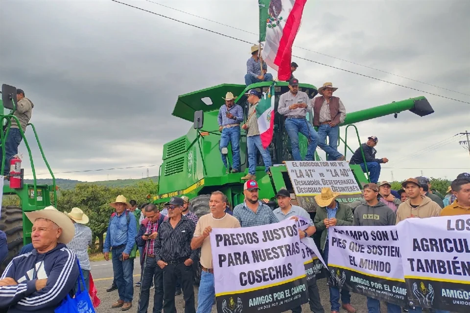 Líder anarquista de cítricos